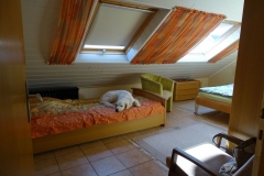 17-04-09_003_Mosel