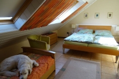 17-04-09_004_Mosel