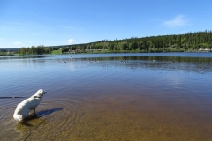 17-05-17_01_Kirnbergsee
