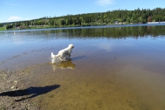 17-05-17_10_Kirnbergsee