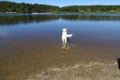 17-05-17_12_Kirnbergsee
