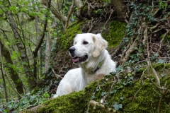 17-04-02_09_Mosel