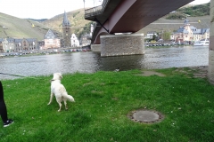 17-04-02_31_Mosel