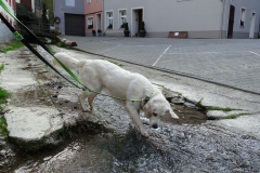 17-04-02_57_Mosel
