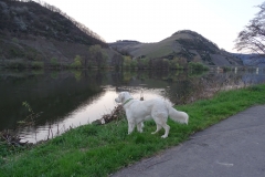 17-04-02_64_Mosel