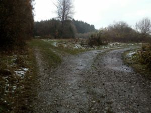Wegekreuzung im Trail